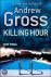 Andrew Gross - Killing Hour
