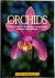 Jörn Pinske 58635 - Orchids