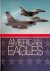 Niccoli, Riccardo - American Eagles: The Greatest Photographs of the USAF