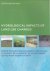 Hydrological impacts of lan...