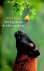 Rinus Spruit - Een dag om aan de balk te spijkeren
