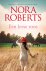 Nora Roberts 19198 - Een Ierse roos