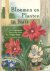 Lindholm, F. - Bloemen en planten in huis