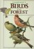 LANSDOWNE, J.F. [Paintings] & John A. LIVINGSTON [Text] - Lansdowne's Birds of the Forest.