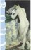 Body: Exploring the Body in...