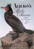 Audubons Birds of America: ...