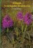 Veldgids Nederlandse Orchid...