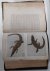 Ditmars, raymond lee - reptilebook a comprehensive, popularised work on the structure and habits of turtles and tortoises, crocodilians, lizard, snakes  inhabiting the United States and northern Mexico,