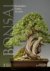 Bonsai / noelanders Trophy ...