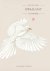 Nicolien Mizee - (1) Dwaalgast