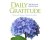 National Geographic - Daily Gratitude