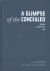 Paul Van den Broek, Pé Vermeersch - A glimpse of the concealed body, intuition, art