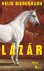 Nelio Biedermann - Lazar