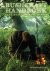 René Nauta ; Beke Olbers - Bushcraft