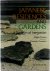 Japanese residence and gard...