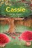 Cassie en de Stoelers