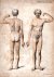 Beigel, Hermann. - Beitrag zur Geschichte und Pathologie des Albinismus partialis und der Vitiligo und über Negrismus
