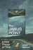 The janus point: a new theo...