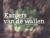 Kanjers van de wallen