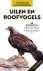 Uilen en roofvogels 52 soor...
