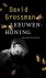 David Grossman - Leeuwenhoning