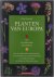 Planten van Europa : kruide...