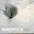  - Birdpix / 5 / Birdpix / 5