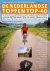 De Nederlandse Toppen Top-40