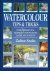Watercolour Tips and Tricks...