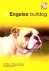 ENGELSE BULLDOG - Over Dier...