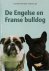 De Engelse en Franse bulldog
