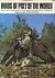 Grossman, M.J.  J. Hamlet - Birds of Prey of the World