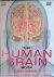 Carter, Rita - The Human Brain Book: an illustrated guide to its structure, function and disorders