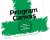 Theo van der Tak - Program Canvas