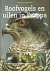 Roofvogels en uilen in Europa