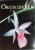 M. Paul - Orchideeen