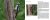 Philip Friskorn - 52 columns uit De Kop / Pica Publications / 5
