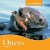 Otters / Dierenfamilies