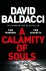 David Baldacci - A calamity of souls