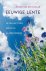 Eeuwige lente