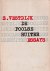 De Poolse ruiter