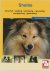 Over Dieren  -   Sheltie