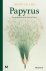 Papyrus De geschiedenis van...