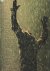 Dogtroep. Photographs 1991-...