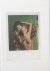 Aat Veldhoen - Polaroids