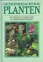 Geneeskrachtige planten. Me...