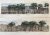 Lier - [2 Coloured lithography's, 2 gekleurde lithografien, The Hague] Hotel dit de Hope, Voorhout, Paardenmarkt, Marché aux Chevaux, Panorama Korte Voorhout, 1 p., published 1833
