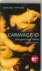 M. Hofland - Caravaggio