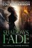 Colleen Gleason - As Shadows Fade