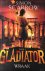 Gladiator : Wraak *** Boek 4